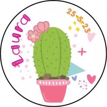 Pegatinas Cactus (20)