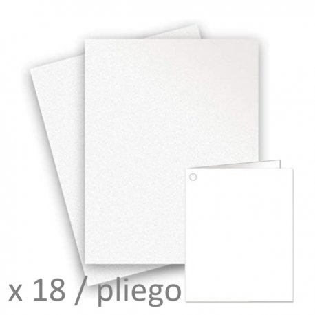 Pliego de Tarjetas Libro en Blanco (18)