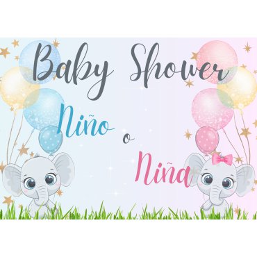 Cartel Baby Shower